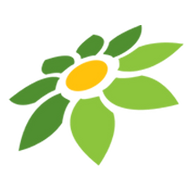 PASTIJP